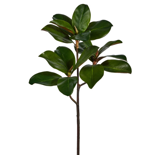 Rama de Hojas de Magnolia 24"