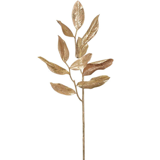 Hojas Magnolia Oro