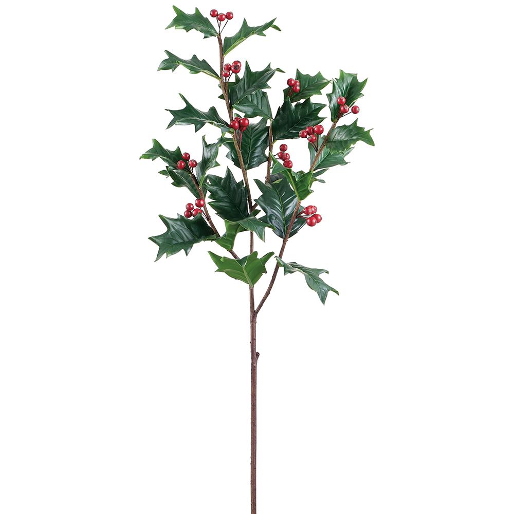 Rama Holly con Berry 32"