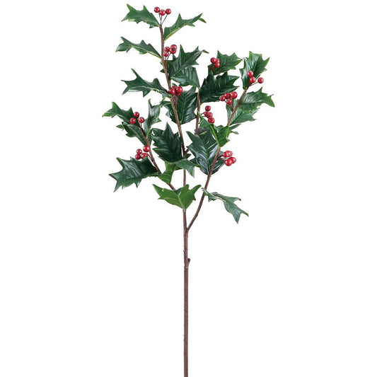 Rama Holly con Berry 32"