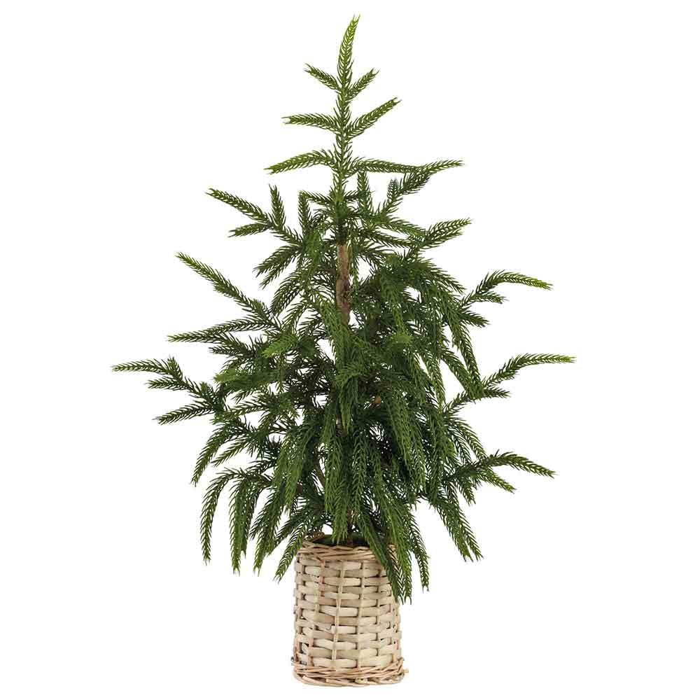 Árbolito Cypress en Canasta 21"
