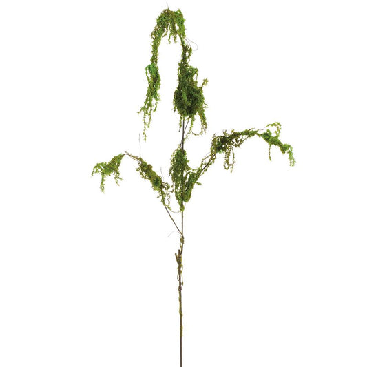 Tronco Colgante con Musgo 55"