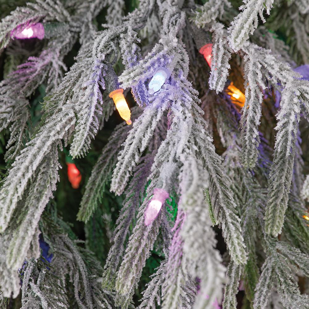 Pino Willow Nevado 7.5'x60"