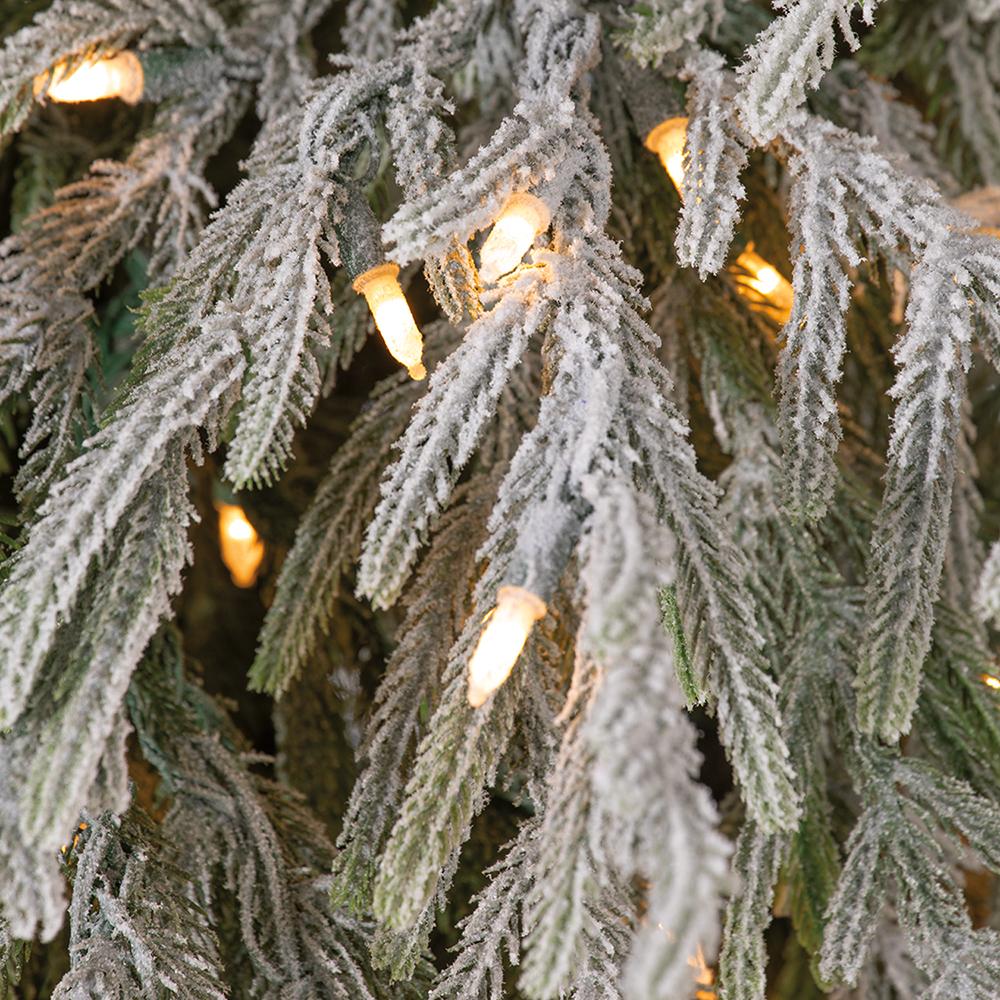 Pino Willow Nevado 7.5'x60"