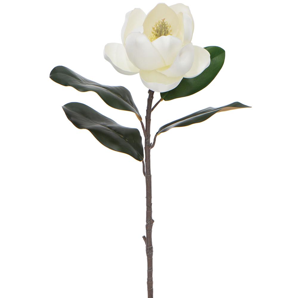 Magnolia 26"