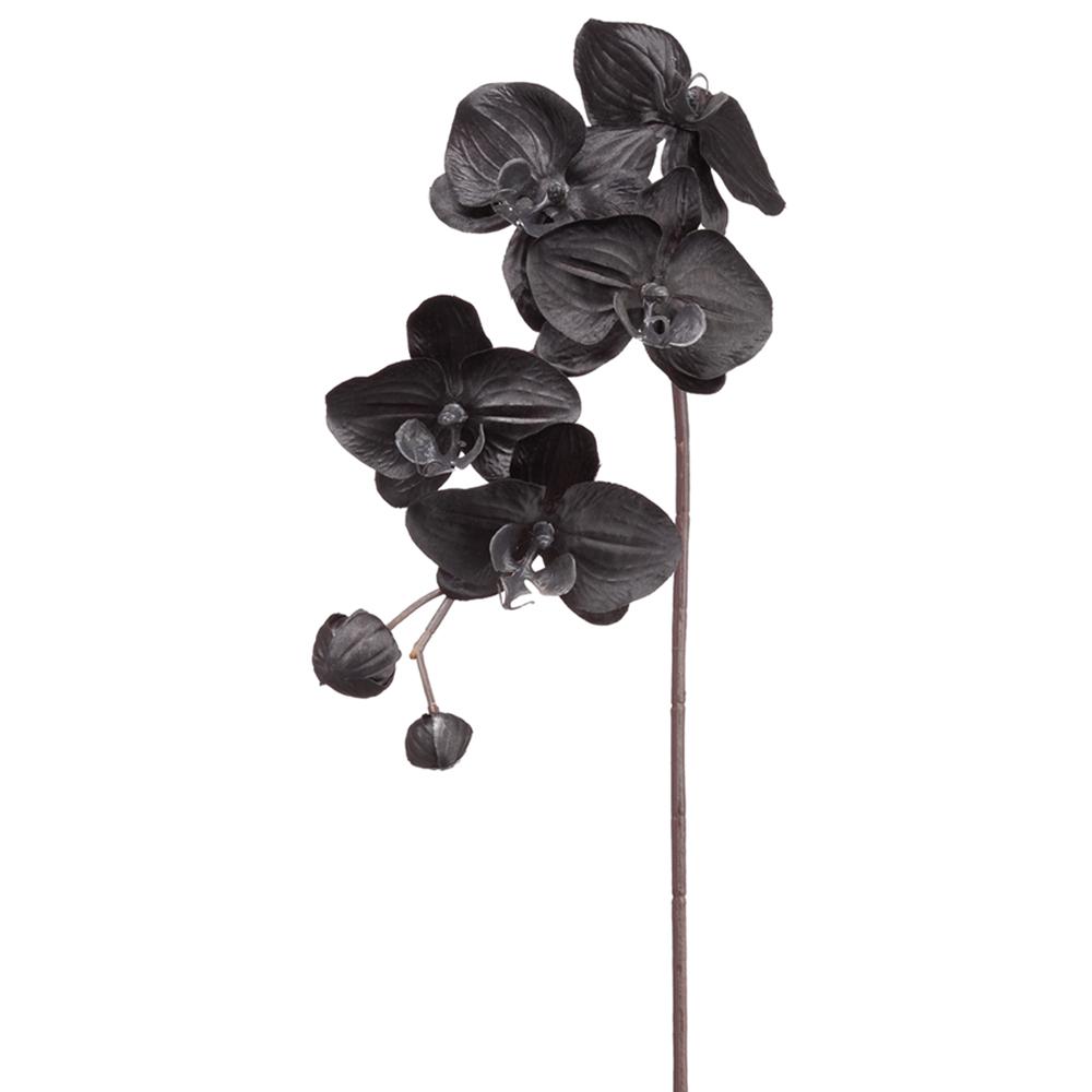 Orquídea Negra 29"