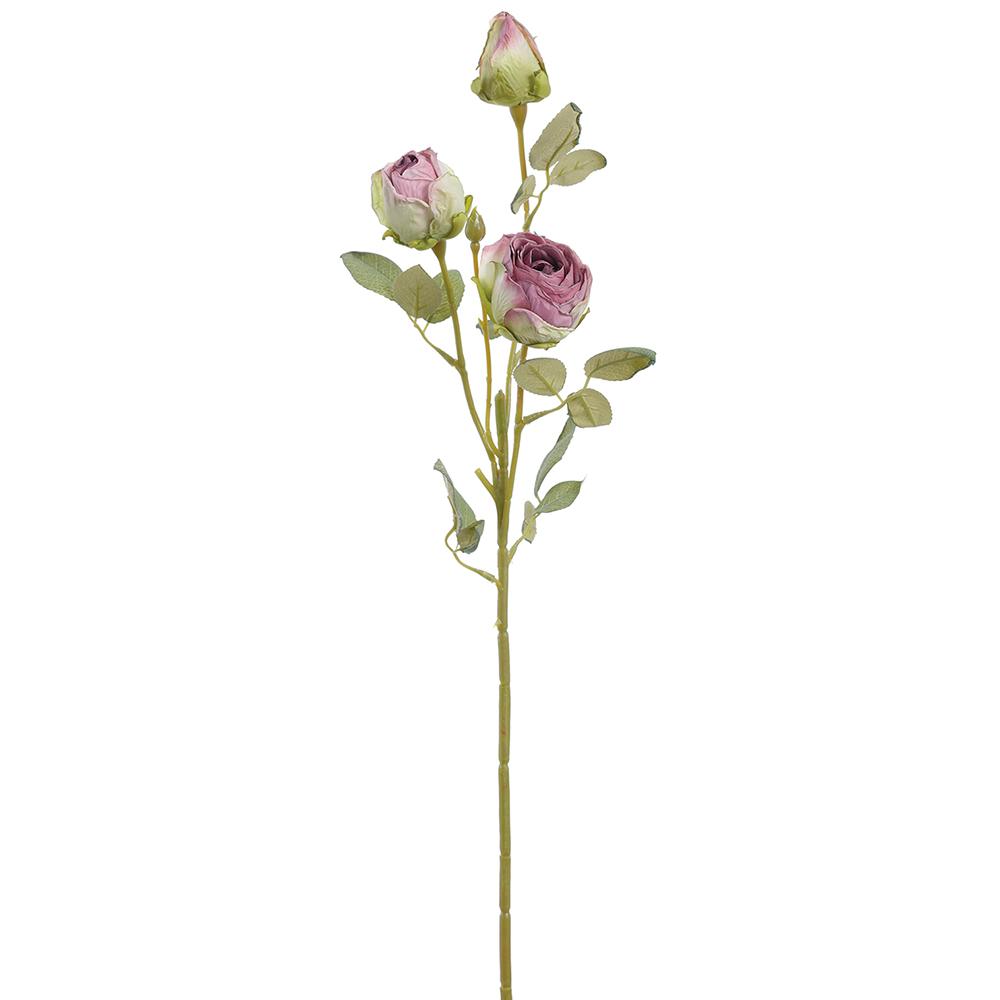 Rosa Seca Lila X3