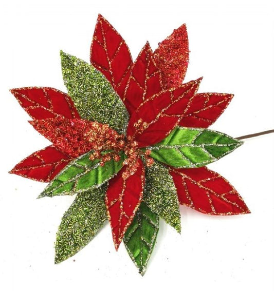 Nochebuena Bicolor 12"