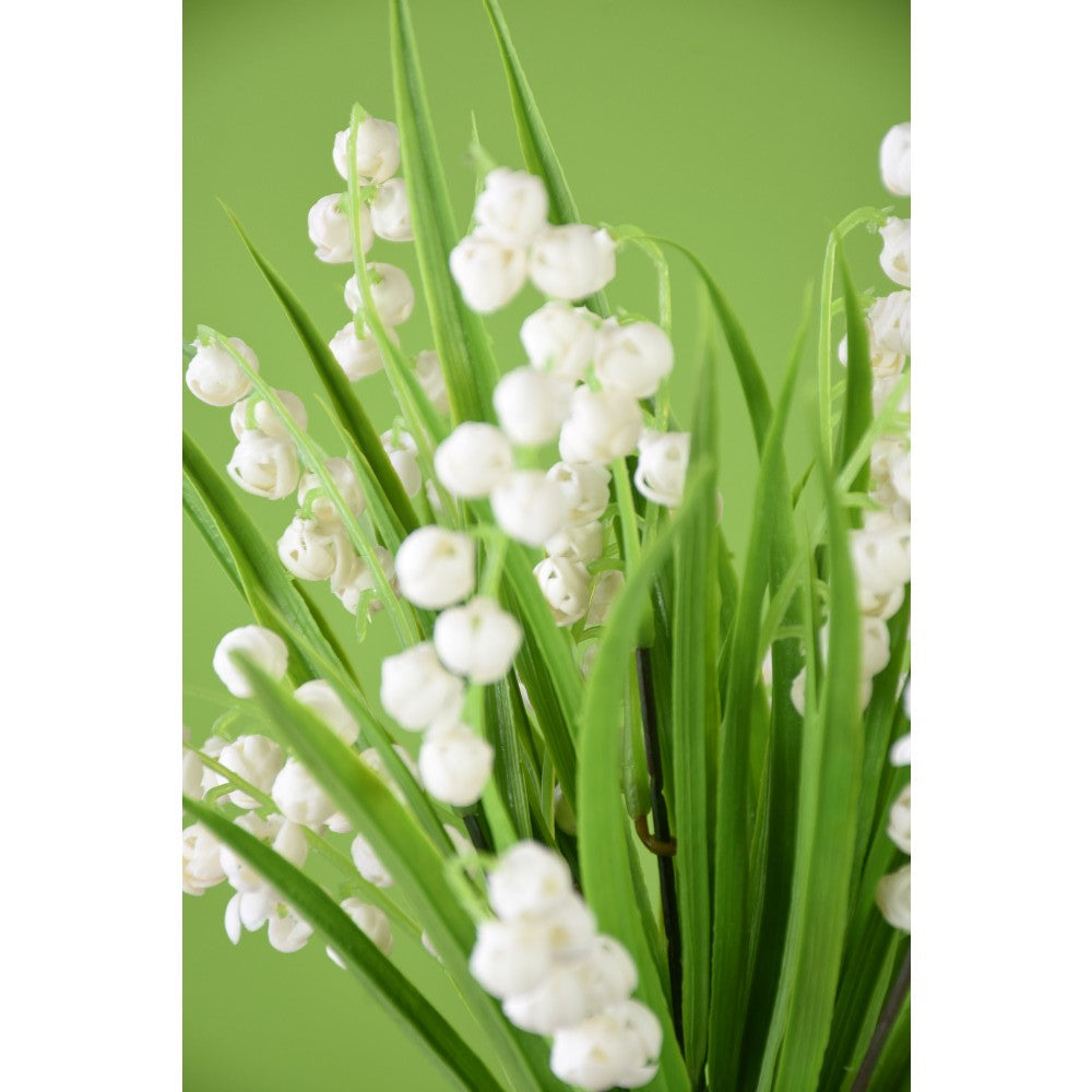 Arbusto Lily 12"