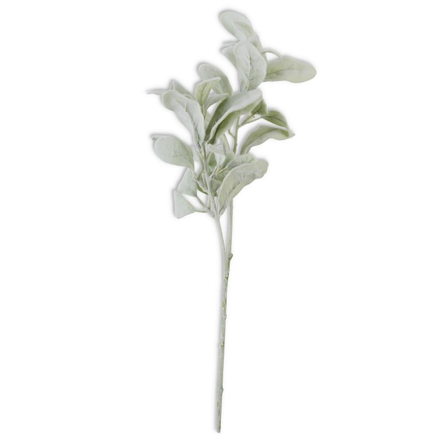 Rama Lambs Ear 20"