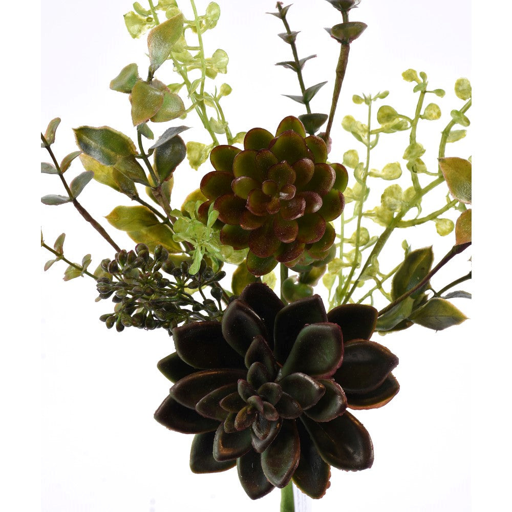 Suculenta 14"