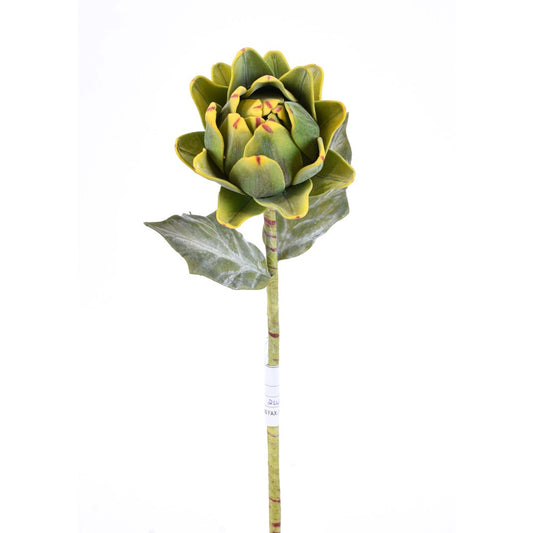 Rama Alcachofa