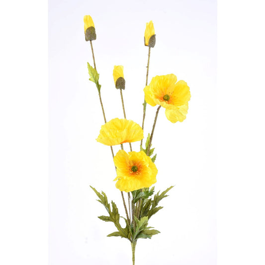 Amapola Amarilla