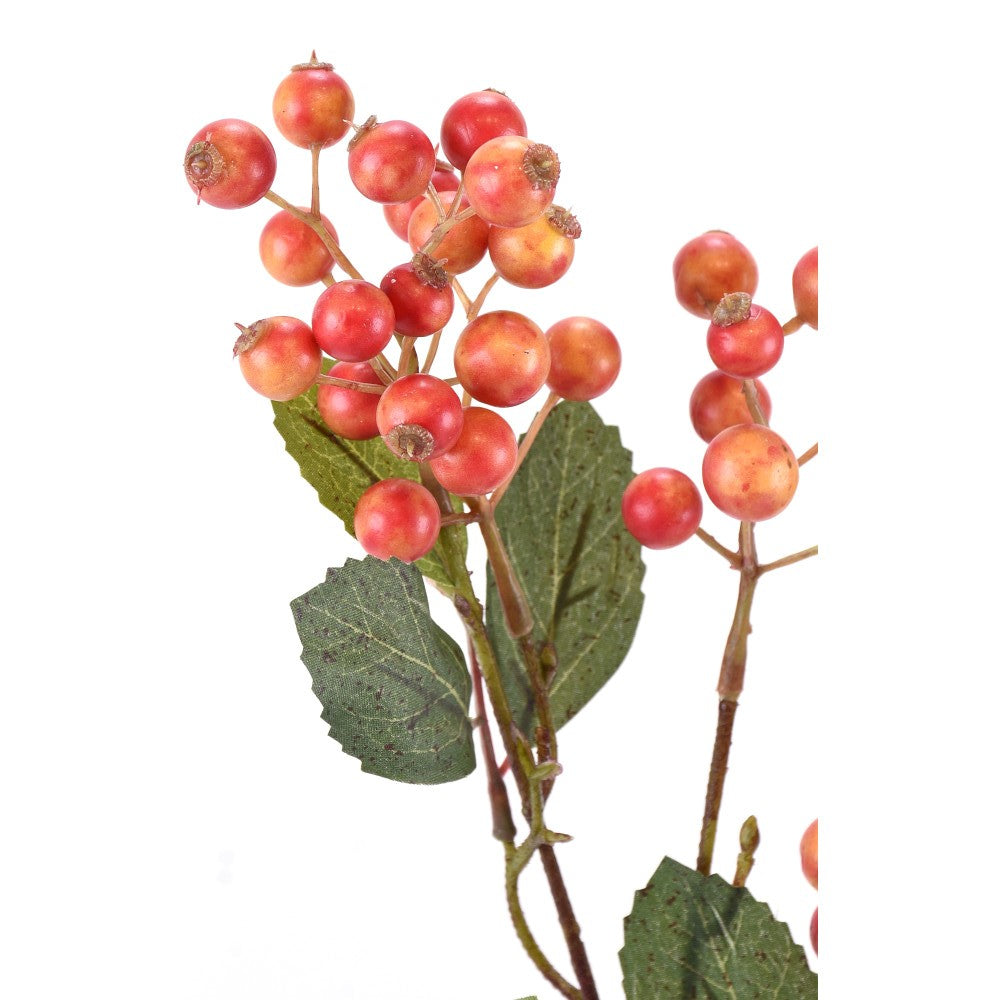 Rama de Bayas Coral