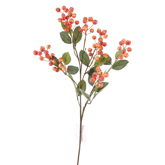 Rama de Bayas Coral