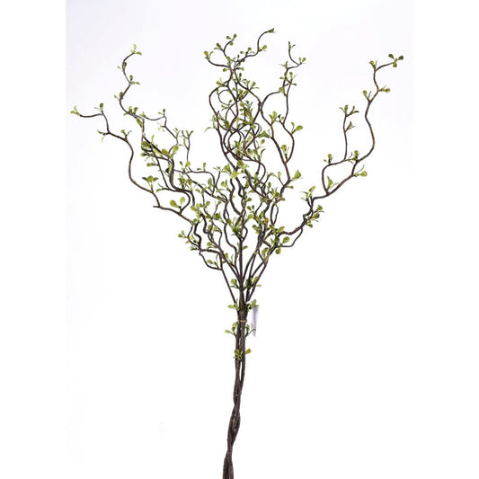 Vara Curly 35"