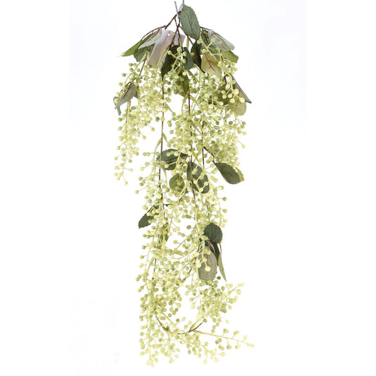 Arbusto de Bayas Verdes