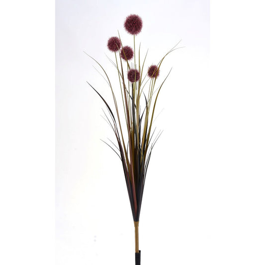Rama Pompon