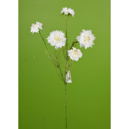 Flor de Maíz Blanca