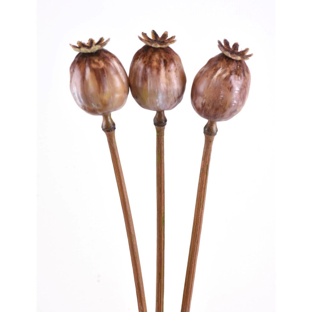 Poppy Pod X3
