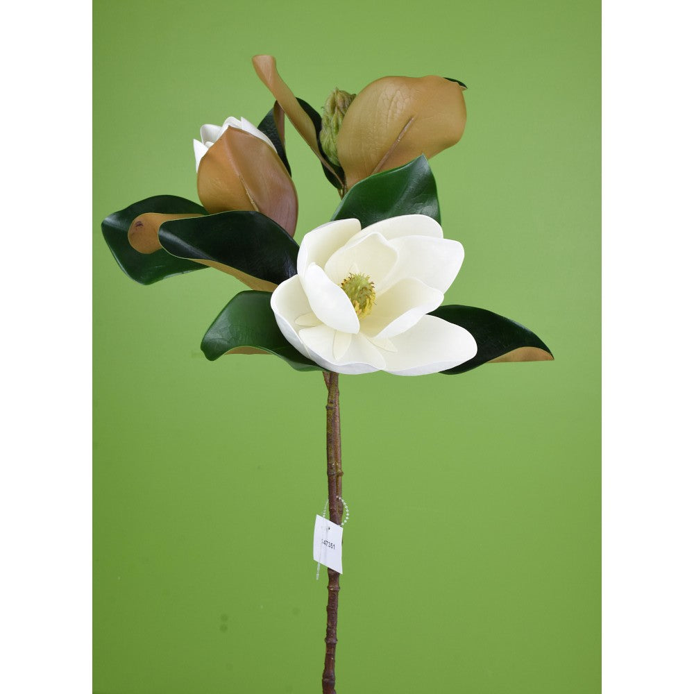 Magnolia X3 29"