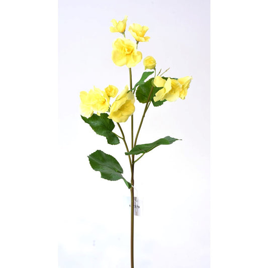 Begonia Amarilla Real Touch