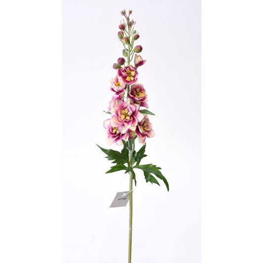 Delphinium Rosa Real Toch