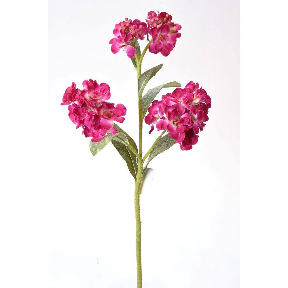 Alhelí Rosa Real Touch