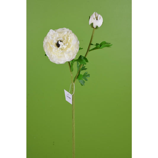 Ranunculus Blanco Real Touch