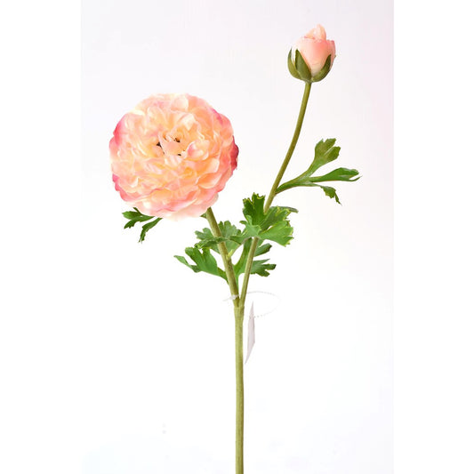 Ranunculus Rosa Real Touch