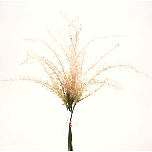 Pampa Grass