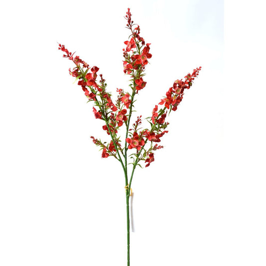 Genestra Roja