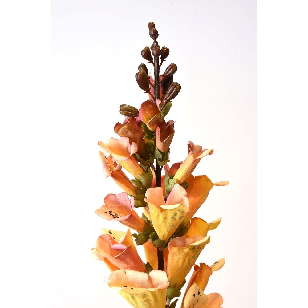 Foxglove amarillo