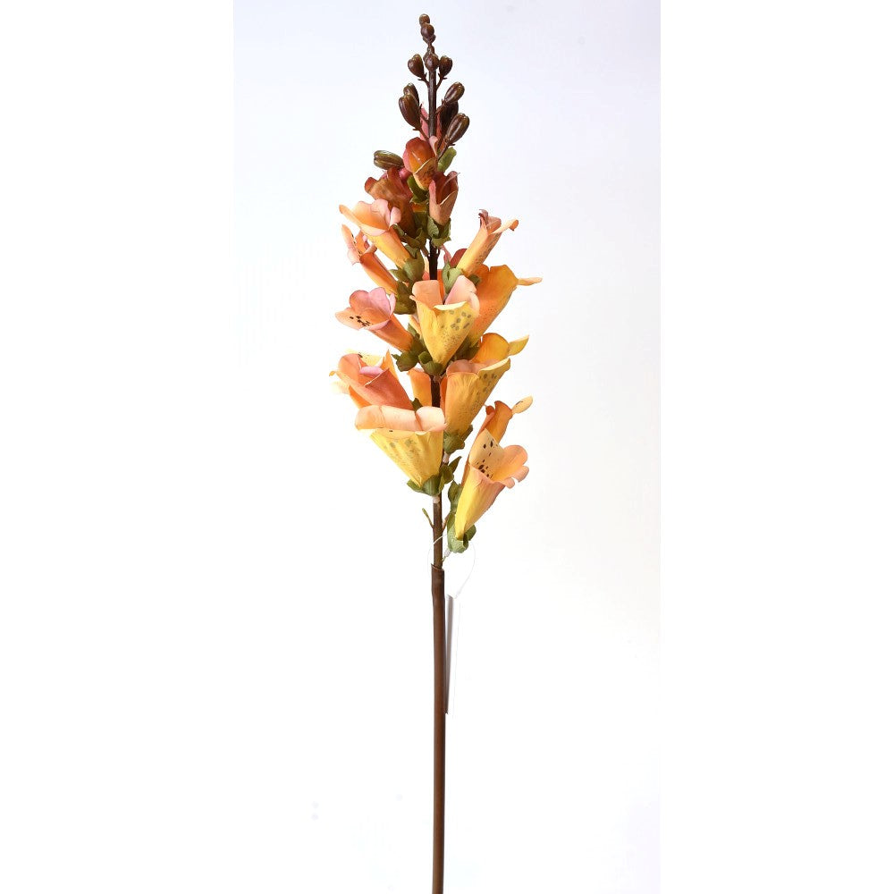 Foxglove amarillo
