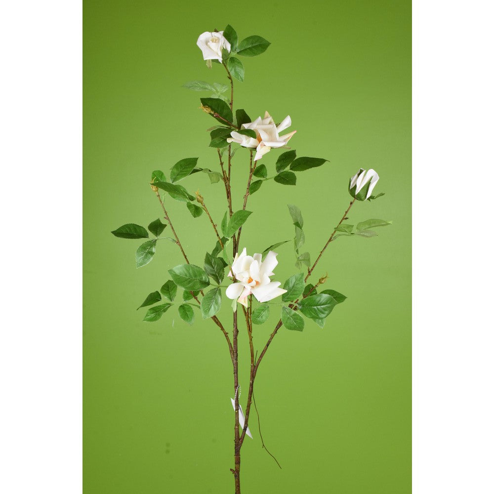 Gardenia Silvestre Blanca