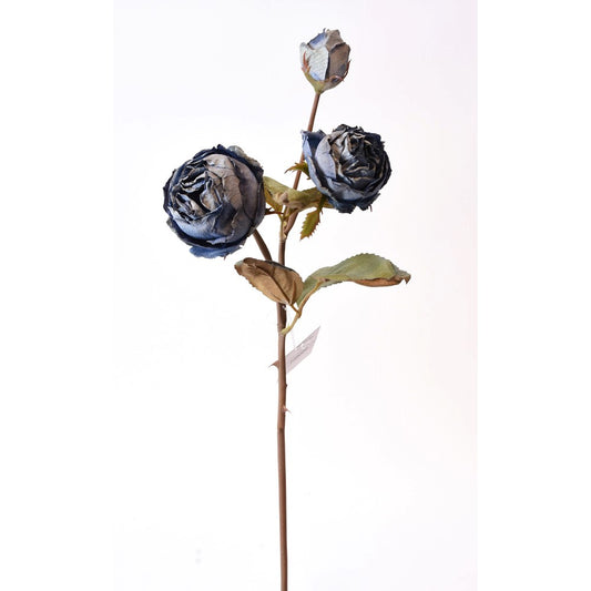 Rosas Secas Azules