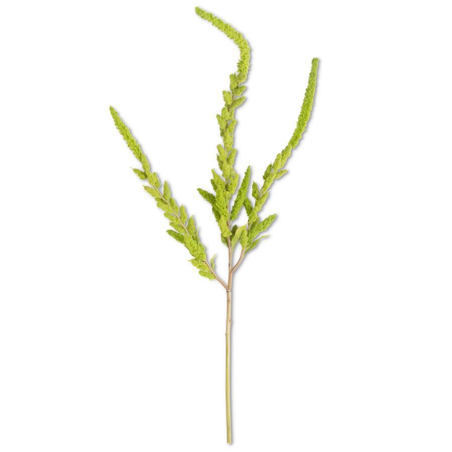 Rama Amaranto Verde