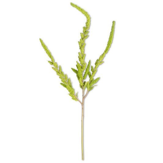 Rama Amaranto Verde