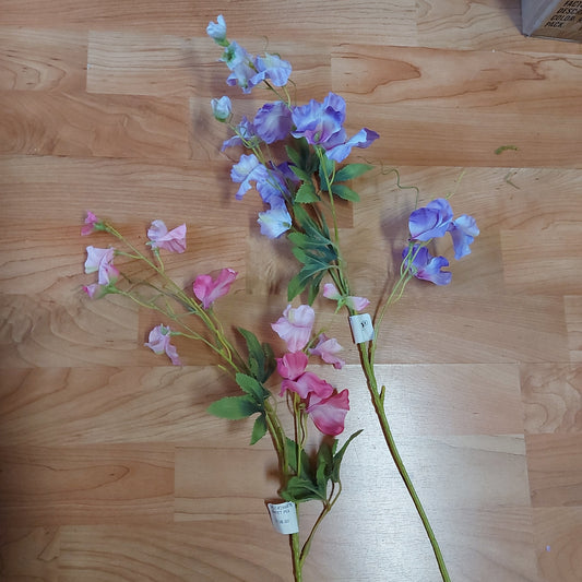 Sweet Pea