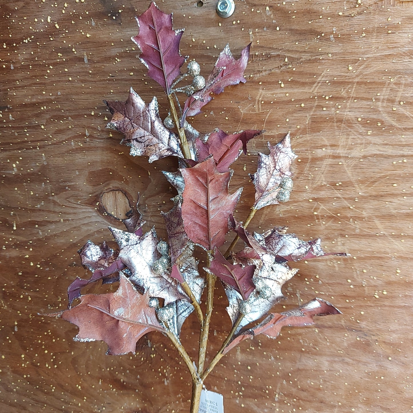 Rama Holly Versalles