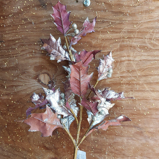 Rama Holly Versalles