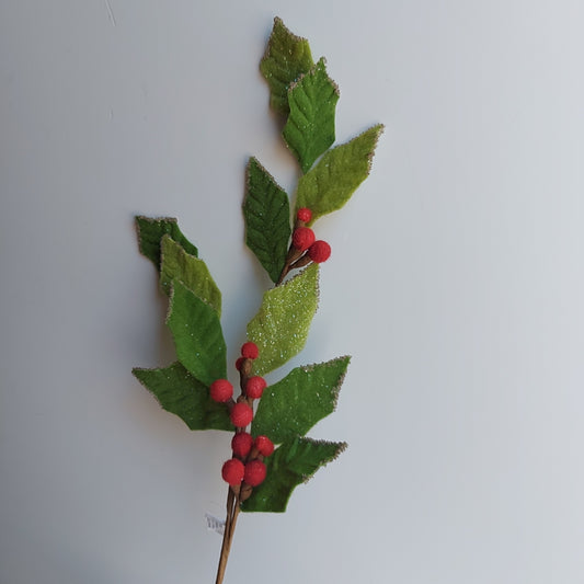 Rama Holly Leaf