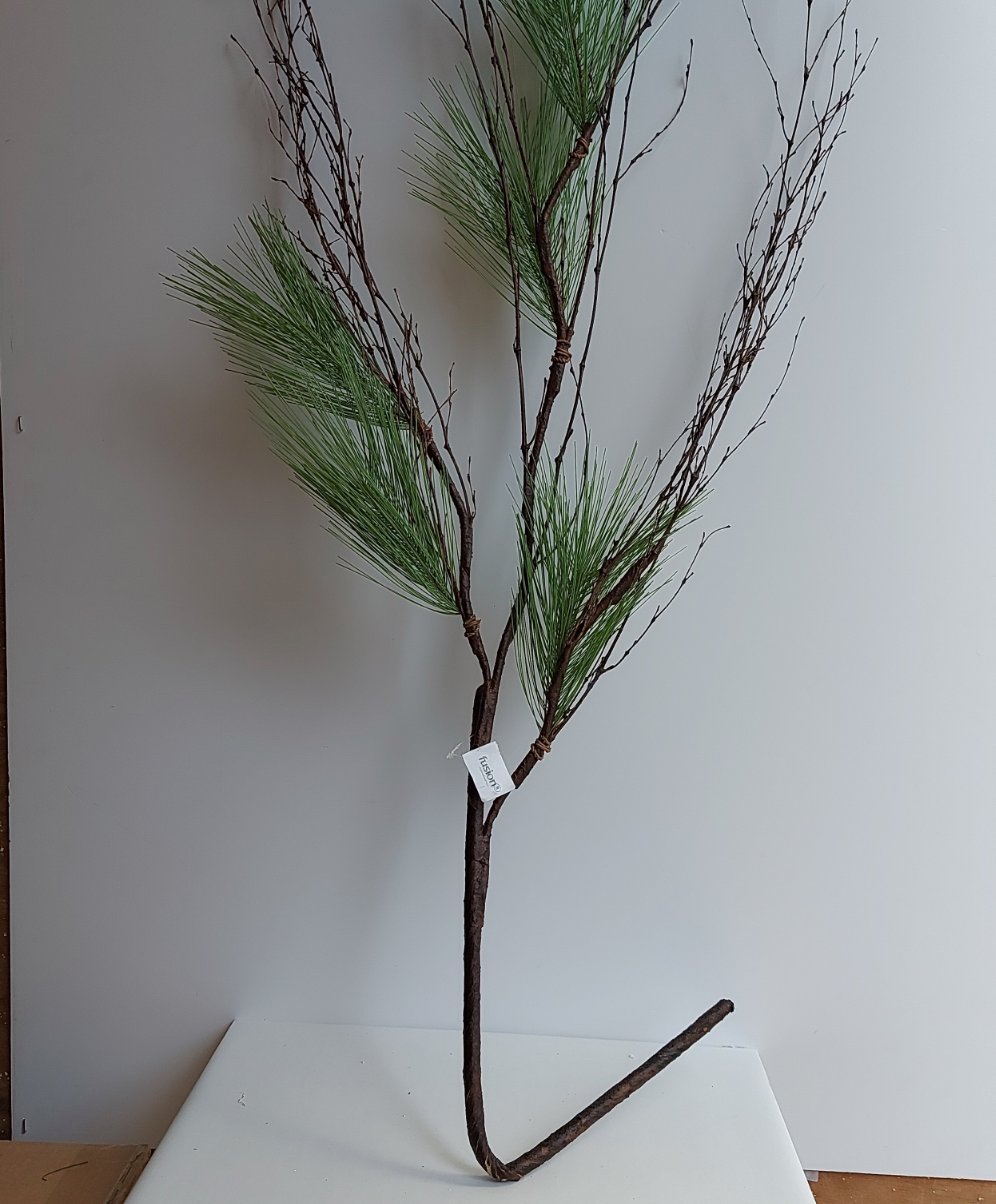 Rama de Pino 53"