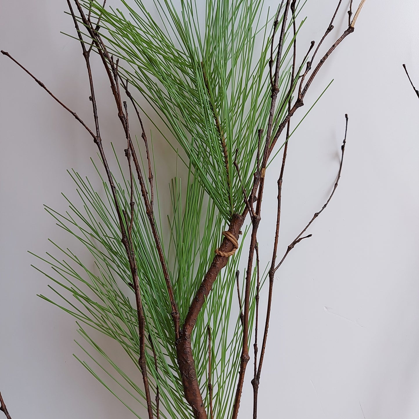Rama de Pino 53"