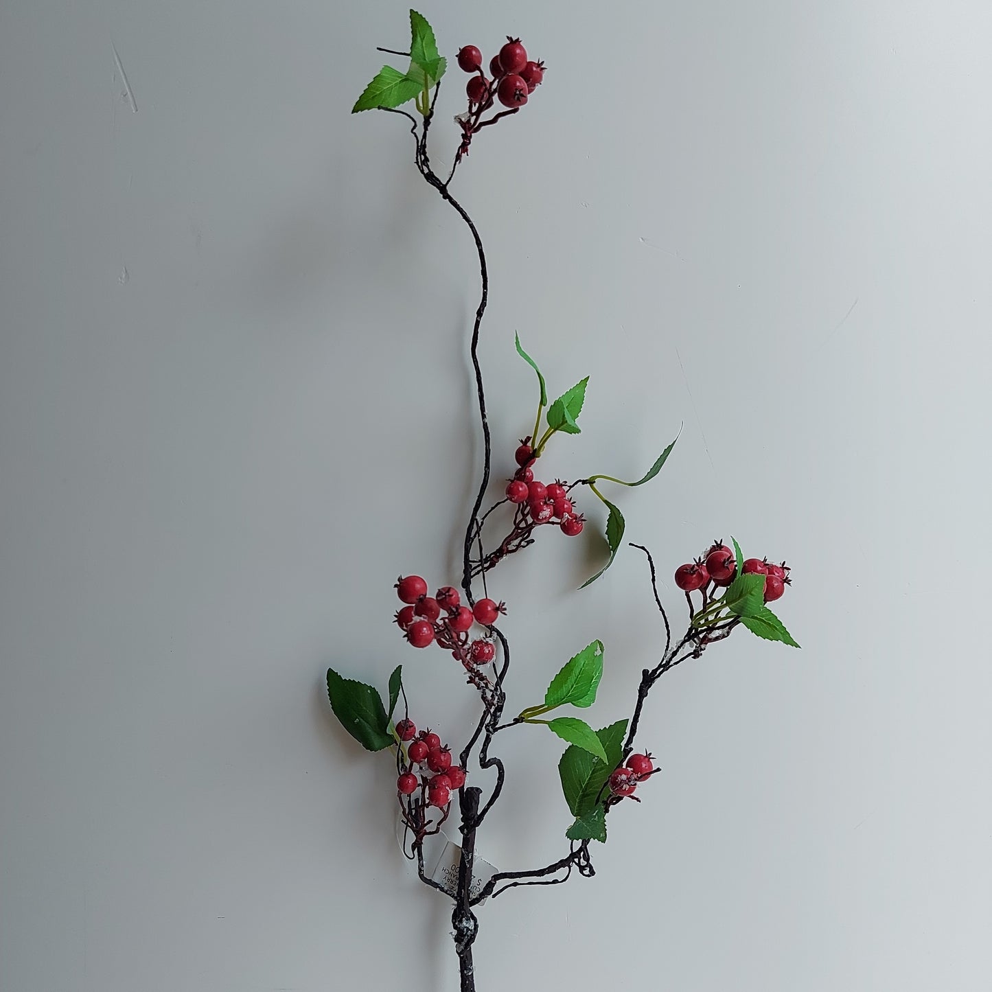 Snow Berry Curly Branch