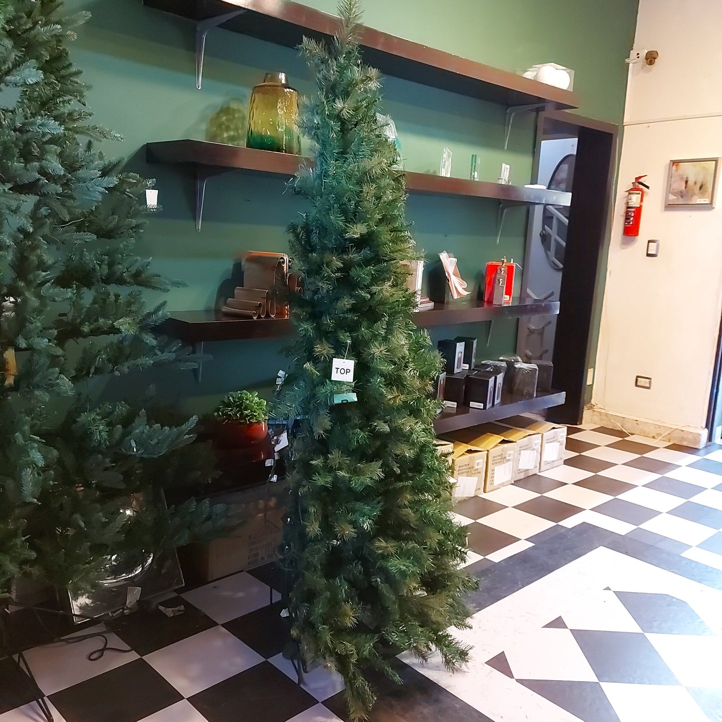 MEDIO PINO 6.5' CON LUZ