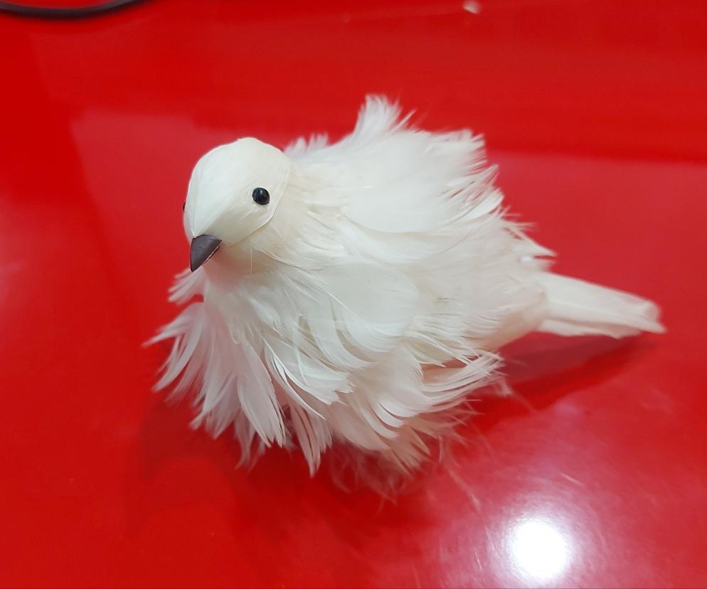 Pájaro con clip
