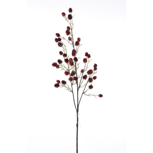 Rama de Berries