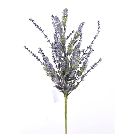 Arbusto Lavanda 22"