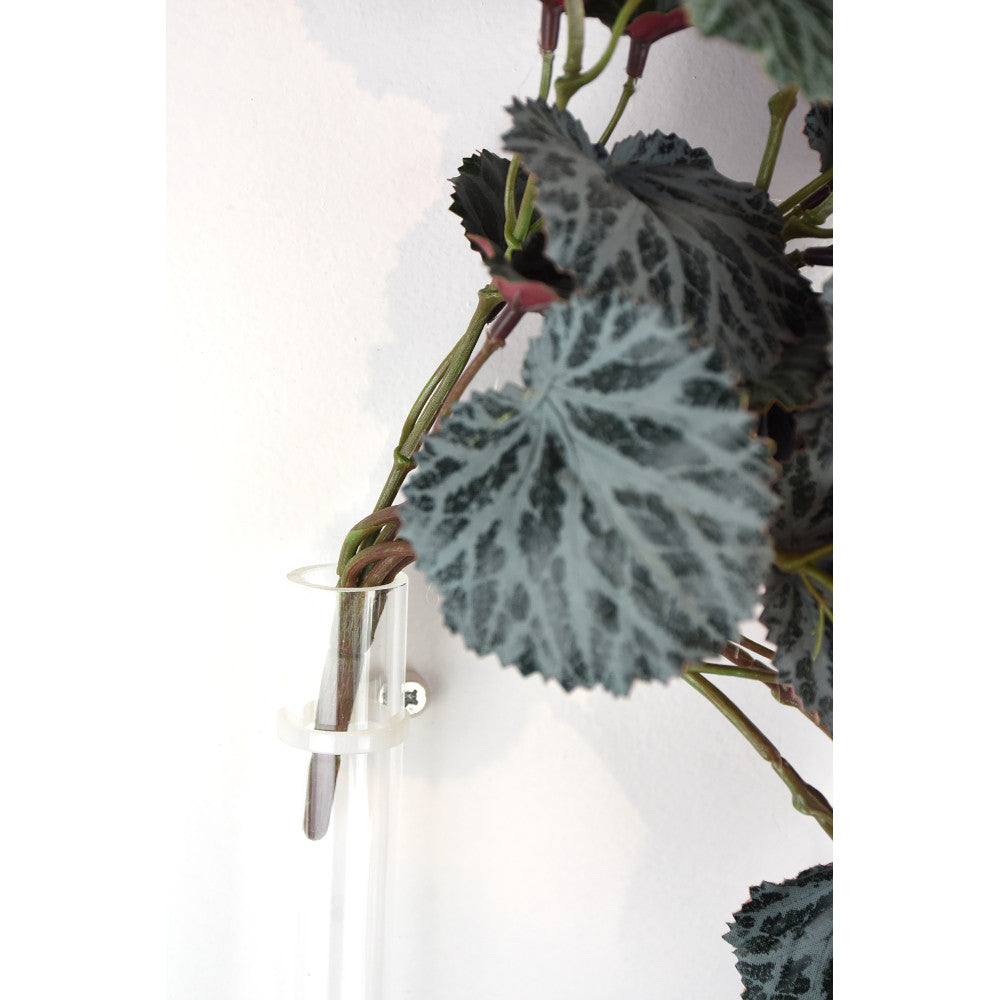 Hojas Begonia 16"